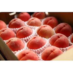 【2026年発送先行受付】山梨県山梨市産　高糖度　旬の採れたて桃【5～8玉】約2kg【配送不可地域：離島】【1365409】