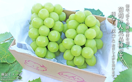 【発送月固定定期便】2026年発送 山梨フルーツ旬の果物 桃+シャインマスカット 全2回_【配送不可地域：離島・沖縄県】【4005775】