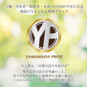 2026年度先行予約 約2kg 完熟 桃 とろける甘み YAMANASHI PRIDE (5～8玉)【配送不可地域：離島・北海道・沖縄県・中国・四国・九州】【1222000】