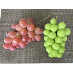 【2026年先行受付】山梨市産サンシャインレッドとシャインマスカットの特別セット(合計1kg以上)【配送不可地域：離島】【1464815】