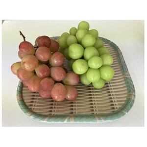 【2026年先行受付】山梨市産サンシャインレッドとシャインマスカットの特別セット(合計1kg以上)【配送不可地域：離島】【1464815】