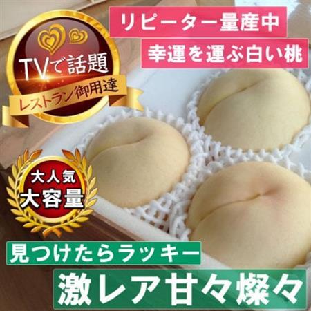《激レア縁起深い白い桃の甘々燦々》人気品種指定ギフト5年連続TV出演話題ブランド2026年8月下旬～【配送不可地域：離島・北海道・沖縄県・中国・四国・九州】【1465337】