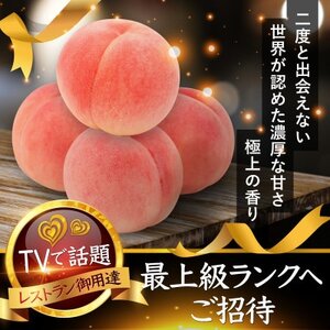 【海外セレブ贈答品】世界レベル糖度16度以上わずか5%『樹上完熟ブランド桃』2026年8月下旬発送【配送不可地域：離島・北海道・沖縄県・中国・四国・九州】【1464209】