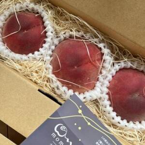 【市場に出回らないレアな西野白桃】人気品種指定ギフト5年連続TV出演話題ブランド2026年7月中旬発【配送不可地域：離島・北海道・沖縄県・中国・四国・九州】【1465267】