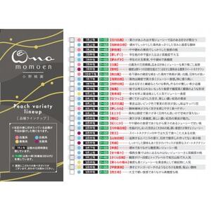 【まず出逢えない気品高い山加白桃】人気品種指定ギフト5年連続TV出演話題ブランド2026年7月下旬～【配送不可地域：離島・北海道・沖縄県・中国・四国・九州】【1465316】