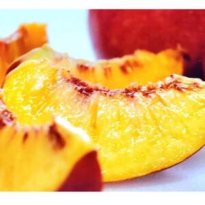 【お中元に贈る方続出】邪気を払う神聖な果物比類なき絶対糖度シャトーネクタリン2026年7月上旬発送【配送不可地域：離島・北海道・沖縄県・中国・四国・九州】【1468765】