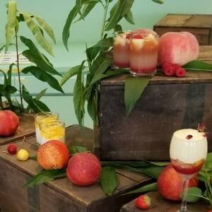 【全国的に出回らない希少桃】マンゴーネクタリンやみつきリピーター続出中2026年7月中旬より発送【配送不可地域：離島・北海道・沖縄県・中国・四国・九州】【1468752】