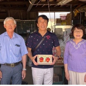 【要人も絶賛する幻の果実】高糖度マンゴーネクタリンやみつきリピーター続出中2026年8月上旬より発送【配送不可地域：離島・北海道・沖縄県・中国・四国・九州】【1468754】