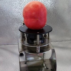 【要人も絶賛する幻の果実】高糖度マンゴーネクタリンやみつきリピーター続出中2026年8月上旬より発送【配送不可地域：離島・北海道・沖縄県・中国・四国・九州】【1468754】