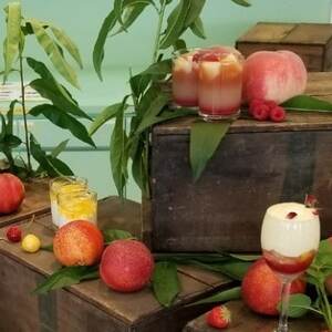 【脳を揺さぶる圧倒的糖度】マンゴーネクタリンやみつきリピーター続出中2026年8月下旬より発送【配送不可地域：離島・北海道・沖縄県・中国・四国・九州】【1468756】