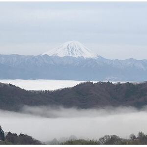 【2026年先行受付】2026年9月下旬発送「牧丘天空クイーンニーナ」 約1kg(2~3房)【配送不可地域:離島・沖縄県】【1473342】