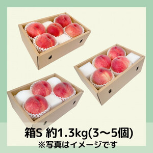 【2026年先行予約】山梨・萩原フルーツ農園の白桃　S (約1.3kg/3～5個)【配送不可地域：離島】【1477609】