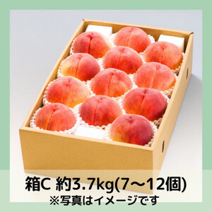 【2026年先行予約】山梨・萩原フルーツ農園の白桃　C (約3.7kg 7～12個)【配送不可地域：離島】【1477612】