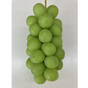 【2026年先行受付】山梨市産シャインマスカット(極上)1房(650g以上)【配送不可地域：離島】【1478957】