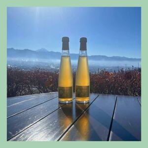 山梨 はぎふる ノンアルコールスパークリング シャインマスカット 300ml×2本 (化粧箱入)【1482160】