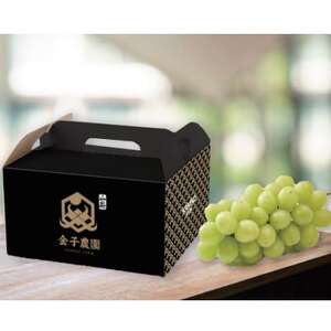 【本場山梨の旬を堪能】今、話題のハウスオブシャインマスカット全国に先駆け2026年6月中旬発送【配送不可地域：離島】【1494995】