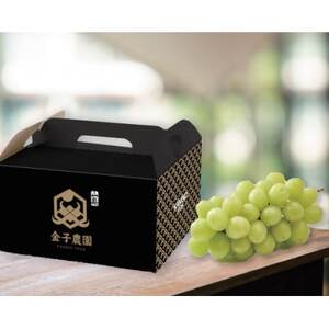 【唯一無二の逸品】ココだけしか味わえない幻のハウスオブシャインマスカット2026年6月下旬より発送【配送不可地域：離島】【1494998】