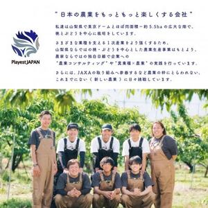 2026年先行受付　山梨県産 桃 白鳳系 1kg以上(3～5玉) フルーツ王国・山梨から産地直送【配送不可地域：離島・沖縄県】【1137259】