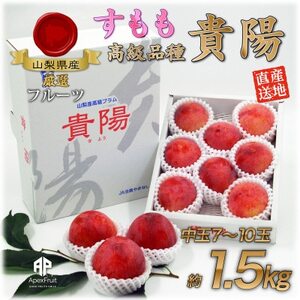 【2026年先行予約】すもも『中玉貴陽』約1.5kg(7~10玉)【配送不可地域:離島】【1395560】