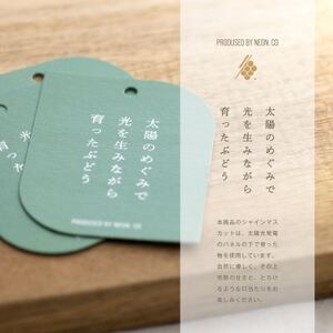 シャインマスカットジュース 300ml×2本 果汁 100% スパークリング ぶどう 果物 ギフト【1496104】