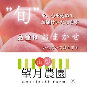 【2026年先行予約】硬めの品種の桃・3K(6~8個)「龍の木の実 望月のもも」【配送不可地域：離島】【1495522】