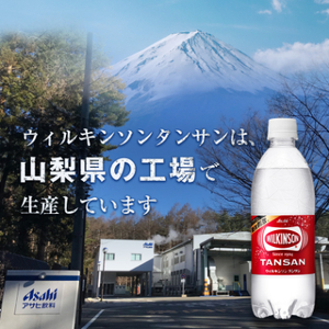 【毎月定期便】【2か月お届け】炭酸水 ウィルキンソン タンサン 500ml 24本 2回 アサヒ飲料【4050008】