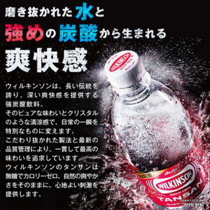 【毎月定期便】【3か月】炭酸水 ウィルキンソン タンサン 500ml 24本 3回 アサヒ飲料【4050009】