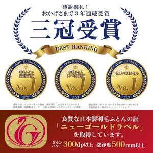 洗える羽毛布団 肌掛け布団(ダブル)日本製  洗濯できる 防ダニ 春夏秋冬【甲州羽毛ふとん】【1502599】