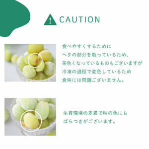 冷凍シャインマスカット 『甲斐の実』 山梨県産ぶどう【配送不可地域:離島】【1502620】