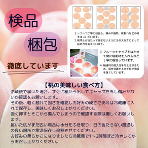 【発送月固定定期便】山梨夏の味覚定期便〈桃 約2kg/シャインマスカット 1.1kg以上〉全2回【配送不可地域：離島】【4050317】