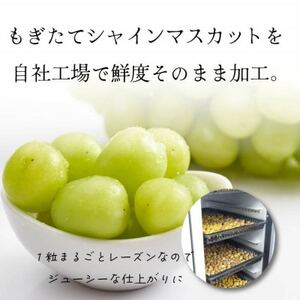 山梨県産シャインマスカットのレーズン 30g×5袋 無添加、砂糖不使用のおやつ【オイルフリー】【1507509】