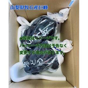 2026年先行受付  山梨県産種なし巨峰　1kg(2～3房)【配送不可地域：離島・沖縄県】【1504883】