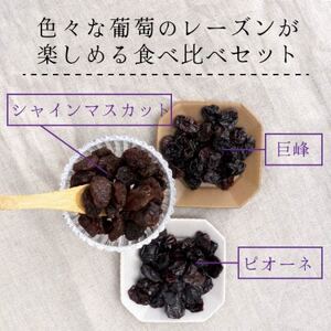 シャインマスカット 巨峰 ピオーネ のレーズン 30g×5袋 食べ比べセット 無添加、砂糖不使用【1508443】