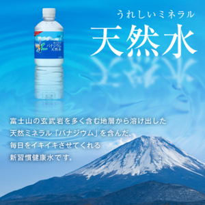 アサヒ「おいしい水」バナジウム天然水 富士山600ml 1箱(24本入り)軟水 ペットボトル  防災【1501646】