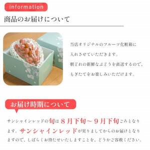 2026年発送【数量限定】山梨県産 希少品種「サンシャインレッド」1房 約500～600g 化粧箱入【配送不可地域：離島・沖縄県】【1515303】