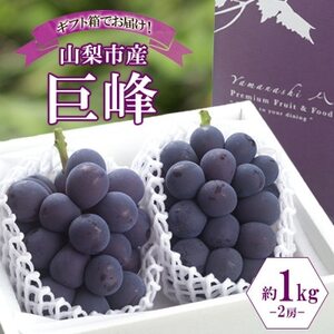 〈2026年先行予約〉濃厚な味わいが特徴!「山梨県山梨市産の巨峰 2房 約1kg」【配送不可地域：離島・沖縄県】【1513024】