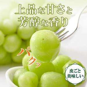 〈2026年先行予約〉大房で食べ応え満点!「山梨県山梨市産 シャインマスカット 2房 約1kg」【配送不可地域：離島】【1513030】