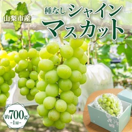 〈2026年先行予約〉果汁あふれるジューシーな「山梨市産 シャインマスカット 1房 約700g」【配送不可地域：離島】【1513031】 7,200円