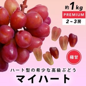 ハート型ぶどう 希少品種 マイハート 約1kg(2～3房) YAMANASHI PRIDEプレミアム【配送不可地域：離島】【1517816】 |  山梨県山梨市 | ふるさと納税サイト「ふるなび」