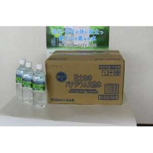 【毎月定期便】富士山のバナジウム天然水【500ml×24本入り】1箱 全3回【4014209】