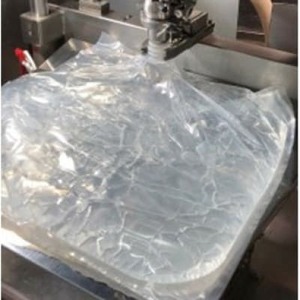 【毎月定期便】バナジウム天然水富士山の原水20L 全12回【4054284】