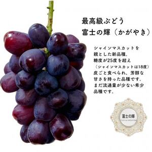 【2026年先行受付】富士の輝とシャインマスカット　1.2kg【配送不可地域：離島】【1525931】