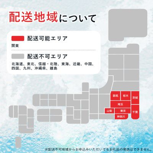 【関東のみお届け】強炭酸水 1L 12本 計12L サーフVOLT(ボルト)国産 ペットボトル【配送不可地域：離島・北海道・沖縄県・東北・信越、北陸・東海・近畿・中国・四国・九州】【1532972】