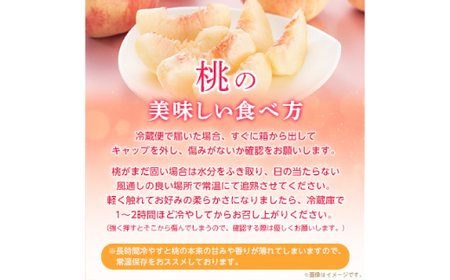 【2026年発送 先行受付】山梨厳選旬の桃 約3kg(8～12玉)【配送不可地域：離島】【1542059】