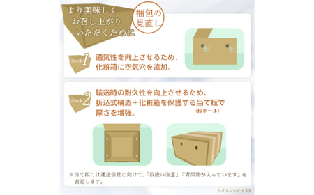 【2026年発送 先行受付】山梨厳選旬の桃 約3kg(8～12玉)【配送不可地域：離島】【1542059】