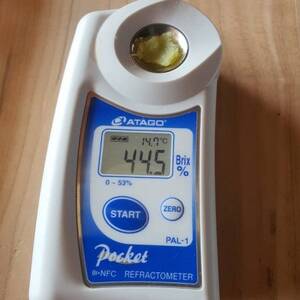 【驚異の100日熟成】ギリギリまで糖化させた幻のシャトーブリアン焼き芋2026年1月中旬より発送【配送不可地域:離島】【1494211】