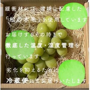 【年内発送】冬に食べられる シャインマスカット 1房(500g以上)山梨産【配送不可地域：離島・沖縄県】【1560605】