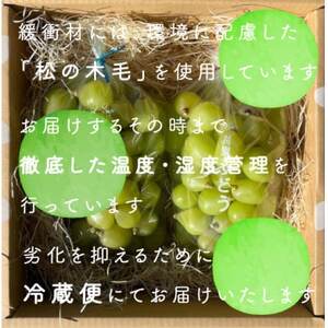 【年内発送】冬に食べられる シャインマスカット 粒 (2kg以上) 山梨産【配送不可地域：離島・沖縄県】【1560612】
