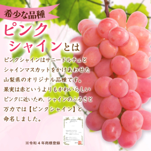ピンクのシャインマスカットふるさと納税にピンクシャイン登場 2～3房1kg程度【配送不可地域：離島】【1561472】