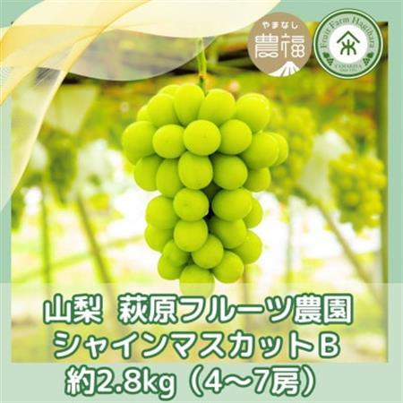 【2026年先行予約】山梨・萩原フルーツ農園のシャインマスカット B(約2.8kg 4～7房)【配送不可地域：離島】【1559305】